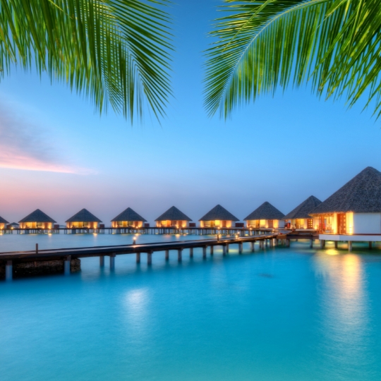 Maldives 