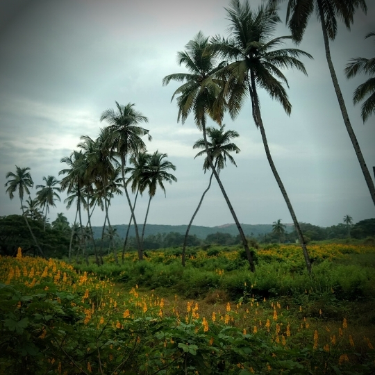 Goa