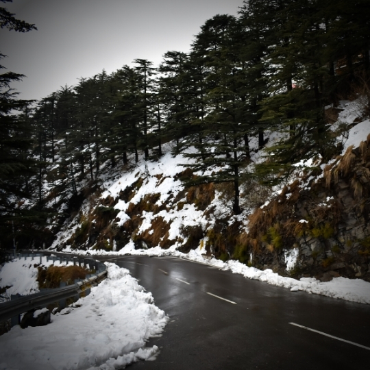 Shimla 