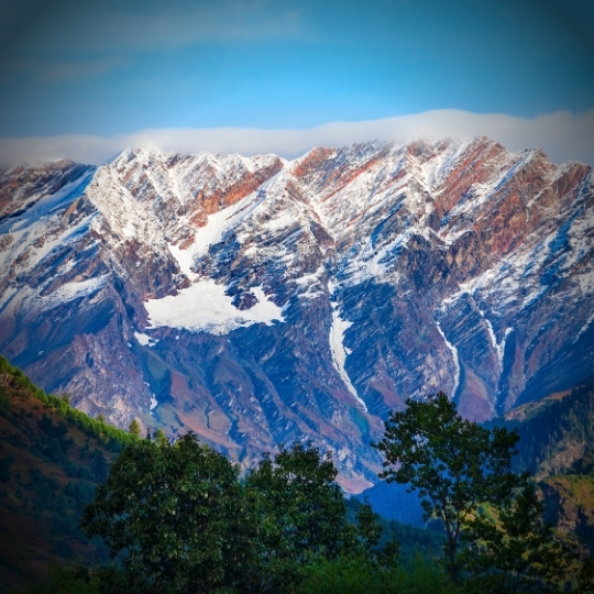 Manali 